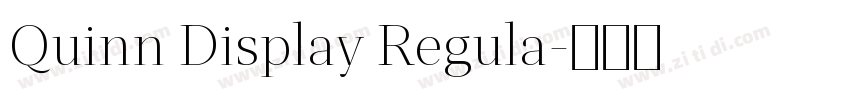 Quinn Display Regula字体转换